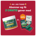 Mund & Tænder