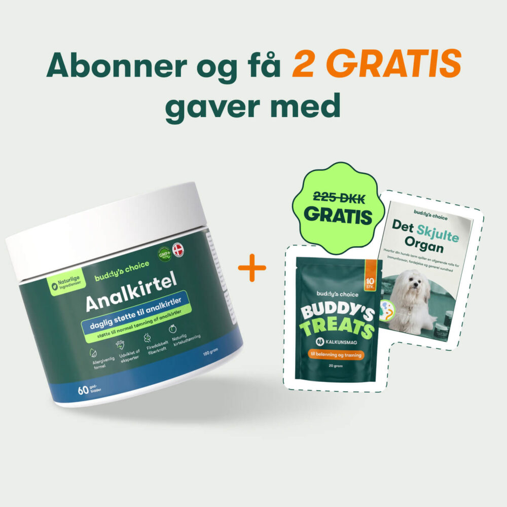 Analkirtel