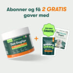 Den Daglige
